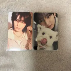 ユジン ZEROBASEONE レオ 犬　NEVERSAYNEVER