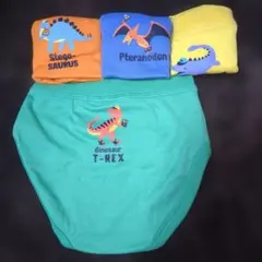 恐竜デザイン ブリーフパンツセット サイズ100