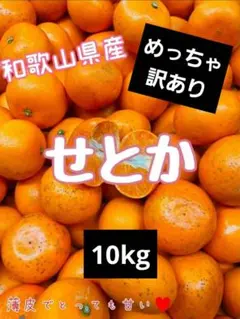 2026年最新】みかんキングの人気アイテム - メルカリ