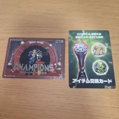 2025年秋季IJLカード ZETA MiraiK UTR - メルカリ