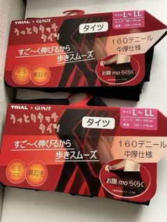 【新品】GUNZE うっとりタッチタイツ L〜LLサイズ×2足 160デニール⑥
