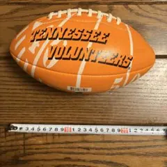 Item thumbnail for item d06e4db6-fb7e-41b0-bc6d-d80cb4fe83c9