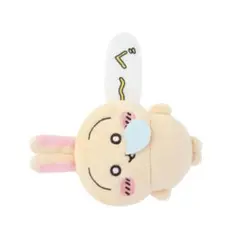 うさぎ　プロフ確認お願いします。様 リクエスト 2点 まとめ商品