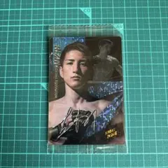 Item thumbnail for item 746db75b-707d-4157-9e48-8e86e03e301e