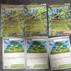ポケモンカード オーガポンみどりのめんex RR 活力の森