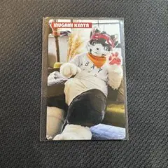 2026年最新】カードプロダクションの人気アイテム - メルカリ