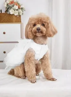 犬・猫用ホワイトフリルドレス