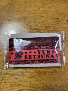 Item thumbnail for item 82e833e6-f064-4c38-b9c9-762cfebcd9d0