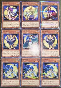 【高騰】月光黒羊、月光紅狐、月光翠鳥、月光彩雛、月光紫蝶、月光蒼猫、ムーンライト