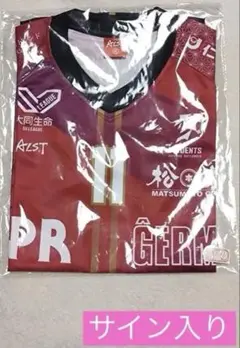 正規品新品☆シントトロイデンVV2025/26ホームユニフォームL谷口彰悟#5