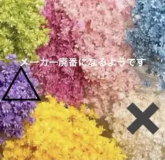 スターフラワーミニ6色　240本