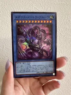 遊戯王 メガリス・ノートラ・プルーラ メガリスノートラプルーラ