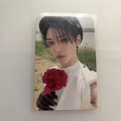 Stray Kids MAXIDENT フィリックス