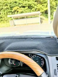 2025年最新】Sunland ダッシュボードマットの人気アイテム