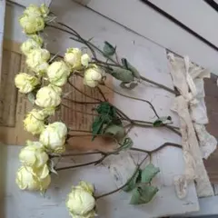 Ne*　インスタ　@ne_0403様 リクエスト 2点 まとめ商品