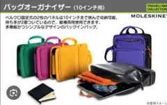 Item thumbnail for item d70aa5e2-5756-427e-a106-8e7eed3fc28f