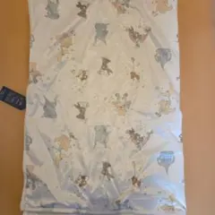 Item thumbnail for item 1da45e1e-32cc-49cc-a076-45b7811ad9ca