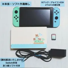 【匿名配送】Switch本体　どうぶつの森ソフト有　amiiboカード付※箱無し