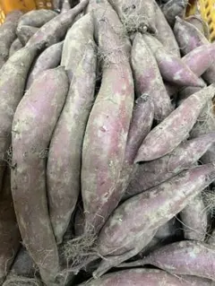 すずほっくり1箱10kg中小サイズ