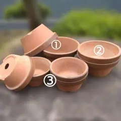 植木鉢　盆栽　多肉植物　山野草　陶器鉢　まとめ売り　茶8鉢のサムネイル