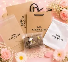新品未開封コーチCOACH スヌーピー キーケース シグネチャー柄袋カード付き