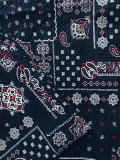 Item thumbnail for item 6379d13e-c9ff-42a6-997c-5310c1d0ab4a