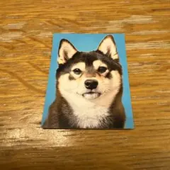 pecoco様 リクエスト 2点 まとめ商品