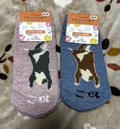 Item thumbnail for item 915ea8e8-1118-4a15-90f7-f37bb34b55bb