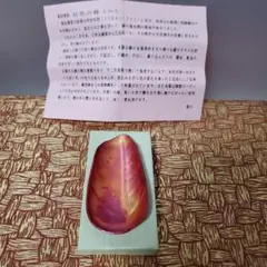 Item thumbnail for item 92e613e2-b95e-42d7-8fa5-dfe035cd1919