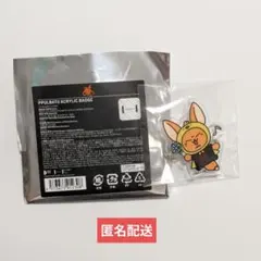 【匿名配送】TXT　MOACON プルバトゥ アクリルバッジ　ファンチュン
