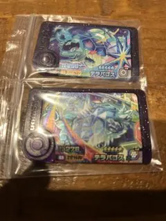 フレンダ　テラパゴス　セット