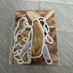 Item thumbnail for item e80d7276-0ba8-47b1-b263-7e1f83b5f59a