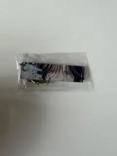 春の嵐とモンスター　天峰栢　D04 リバーシブルアクリルキーホルダー　漫福ガチャ