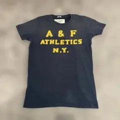 タグ付未使用　Abercrombie & Fitch A&F Tシャツ Lのサムネイル
