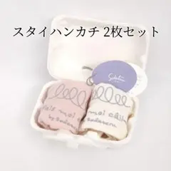新品 sodateru 育てるタオル ベビー用スタイハンカチ 2枚セット
