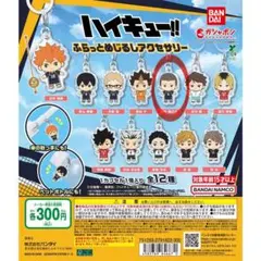 ハイキュー!! ふらっとめじるしアクセサリー 田中龍之介