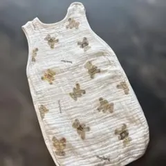 Item thumbnail for item 546f5d3c-6567-4274-a6af-716798bc94c9