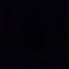 ぴょん吉様専用