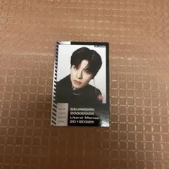 Stray Kids スンミン ODDINARY トレカ - メルカリ