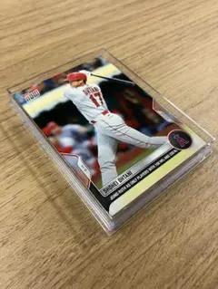 Item thumbnail for item 656877c1-16fb-4b37-bcc2-22e7d3b3367f