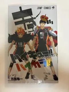 ハイキュー!! ハイカラ！！公式カラーイラスト集