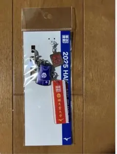 新品】東京国際大学2025年箱根駅伝HAKONE EKIDEN キーホルダー - メルカリ