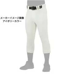 ミズノプロ　パンツ/レギュラータイプ 野球 ウエア (12JD2F05)