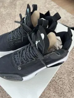 Item thumbnail for item d400c517-f0ee-422f-80d8-2c60e5712bcc