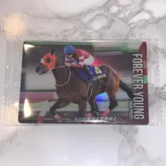 サラブレッドコレクション ウエハース 第3弾 フォーエバーヤング