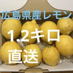 【広島県産】ブランドレモン8個1.2kg農薬不使用のサムネイル