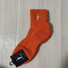 インザペイント　ソックス