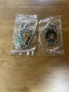 HUNTER×HUNTER ハンターハンター　メタルチャーム　レオリオ　シズク