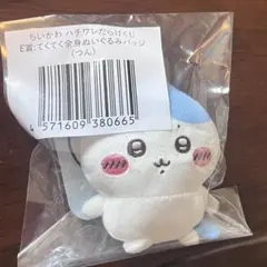 ちいかわ ハチワレだらけくじ E賞てくてく全身ぬいぐるみバッジ(つん)のサムネイル