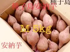 種子島産安納芋Mサイズ5kgさつまいも焼き芋に超希少#55